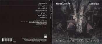 CD Erlend Apneseth: Nattsongar