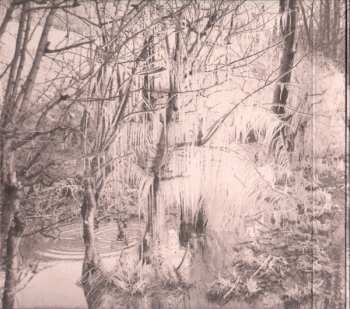 CD Esben And The Witch: Violet Cries