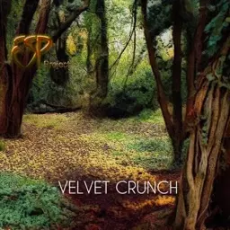 ESP Project: Velvet Crunch