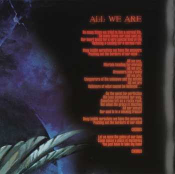 CD Eternal Flight: Positive Rage