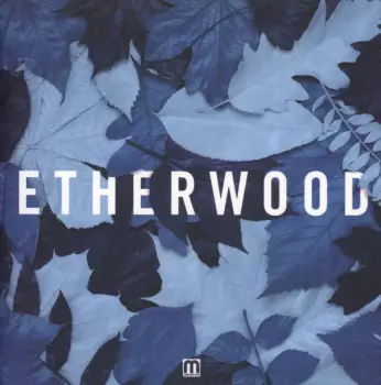 Etherwood: Blue Leaves