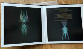 LP Evil Blizzard: Rotting In The Belly Of The Whale