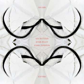 Album Iva Bittová: Nayive