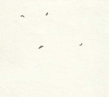 CD Exploring Birdsong: The Thing With Feathers