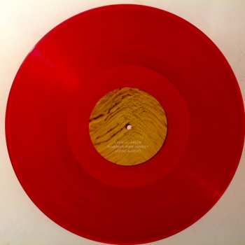 2LP Explosions In The Sky: The Wilderness DLX | LTD | CLR