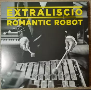 Romantic Robot