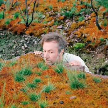 CD Fabiola: The Mushroom Type