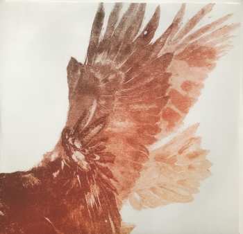 2LP Snow Patrol: Fallen Empires