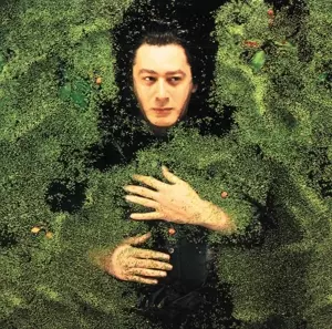 Alain Bashung: Fantaisie Militaire