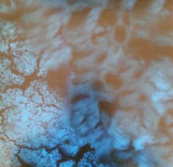 2LP Pantera: Far Beyond Driven