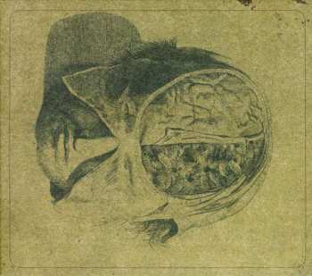 CD Farsot: Insects LTD