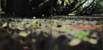 CD Fat Mattress: Fat Mattress