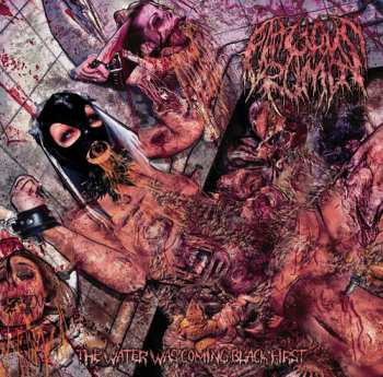 CD Fatuous Rump: Water Was Coming Black First