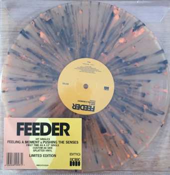 Album Feeder: Feeling A Moment & Pushing The Senses