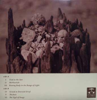 LP Feral Season: Rotting Body In The Range Of Light LTD