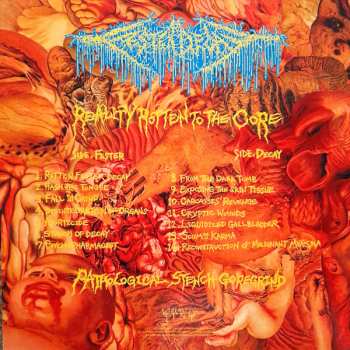 LP FesterDecay: Reality Rotten to the Core