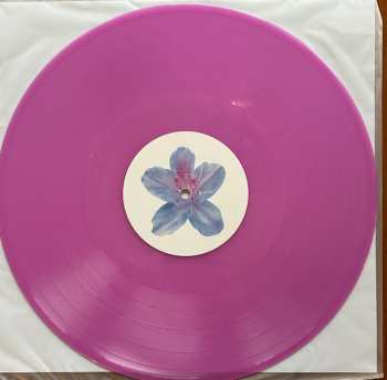 LP Fiddlehead: Between the Richness