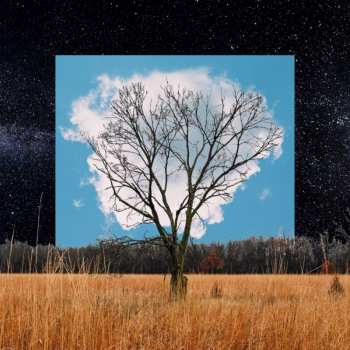LP Fink: Bloom Innocent CLR