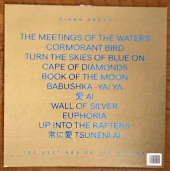 LP Fionn Regan: The Meetings of the Waters LTD