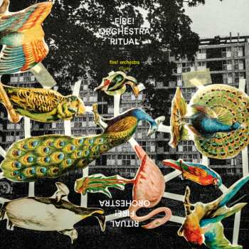 2LP/CD Fire! Orchestra: Ritual