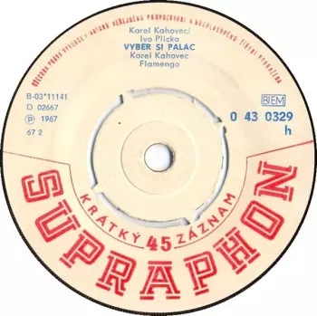 Vyber Si Palác / Svou Lásku Jsem Rozdal