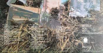 LP Fleetwood Mac: The Pious Bird Of Good Omen