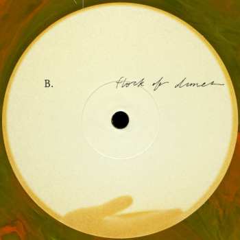 2LP Flock Of Dimes: The Life You Save CLR | LTD