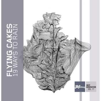 CD Flying Cakes: 19 Ways To Rain