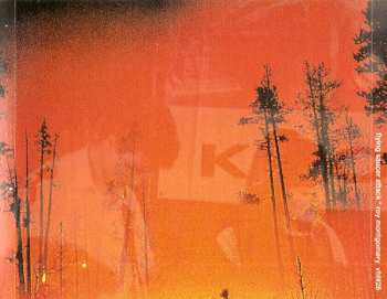 CD Flying Saucer Attack: Goodbye / And Goodbye / The Whole Day