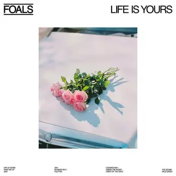 Foals: Life Is Yours
