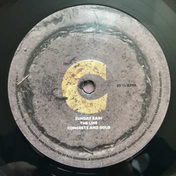 2LP Foo Fighters: Concrete And Gold