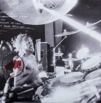2LP Foo Fighters: Greatest Hits