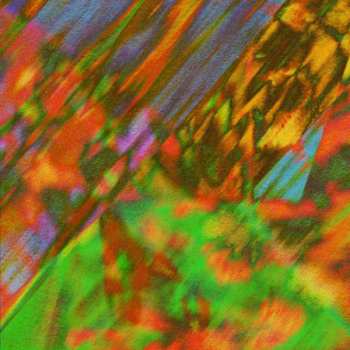 Album Gold Panda: Stay Here