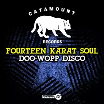 Fourteen Karat Soul: That's Doo-Wapp Acappella