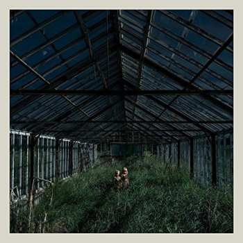 Album Foxing: Dealer