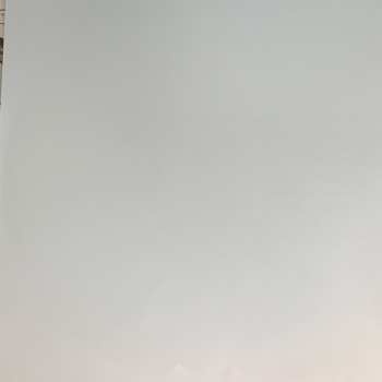 2LP Foxygen: ... And Star Power