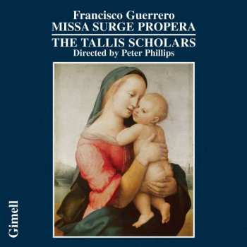 CD The Tallis Scholars: Missa Surge Propera