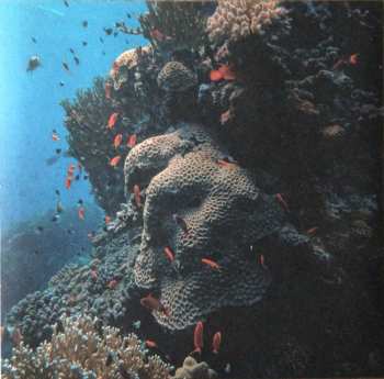 LP François De Roubaix: Les Secrets De La Mer Rouge LTD