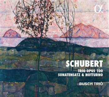 CD Franz Schubert: Trio Opus 100, Sonatensatz & Notturno