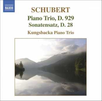 CD Franz Schubert: Piano Trio, D. 929 • Sonatensatz, D. 28