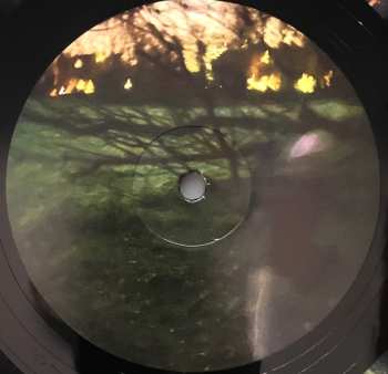 LP Brian Eno: Secret Life