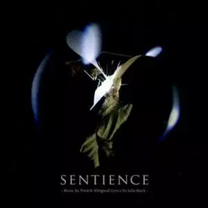 Fredrik Klingwall: Sentience