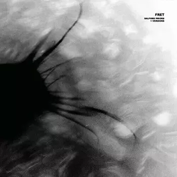 Salford Priors + Versions