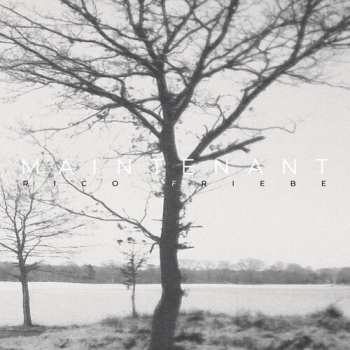 LP Friebe,rico: Maintenant