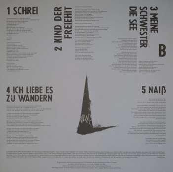 LP Friedemann Hinz: Naiß LTD | CLR