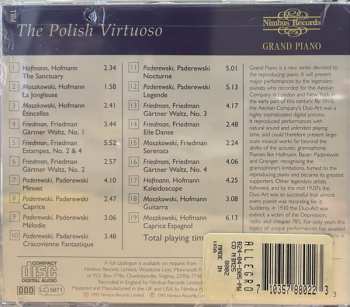 CD Ignaz Friedman: The Polish Virtuoso