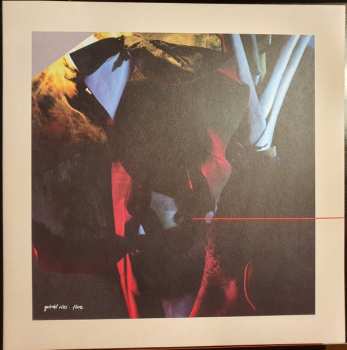 Album Gabriel Rios: Flore