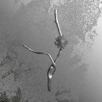 Album Gaia Banfi: La Maccaia