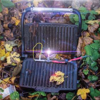 2LP Gajek: Vitamin D