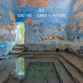 Laurent Petitgand: OLA